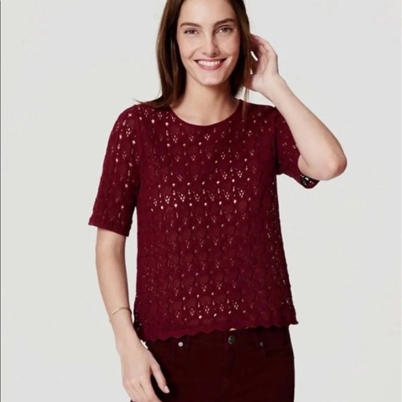 LOFT Sweaters - LOFT Embroidered Lace Sweater